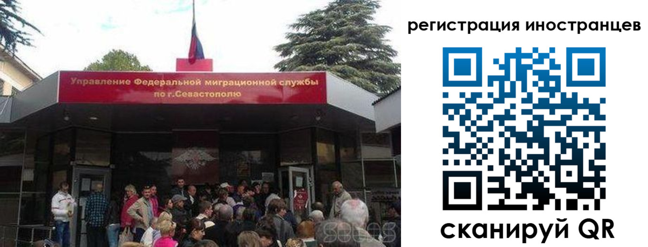 прописка в Александровске