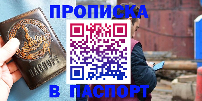 прописка в Александровске
